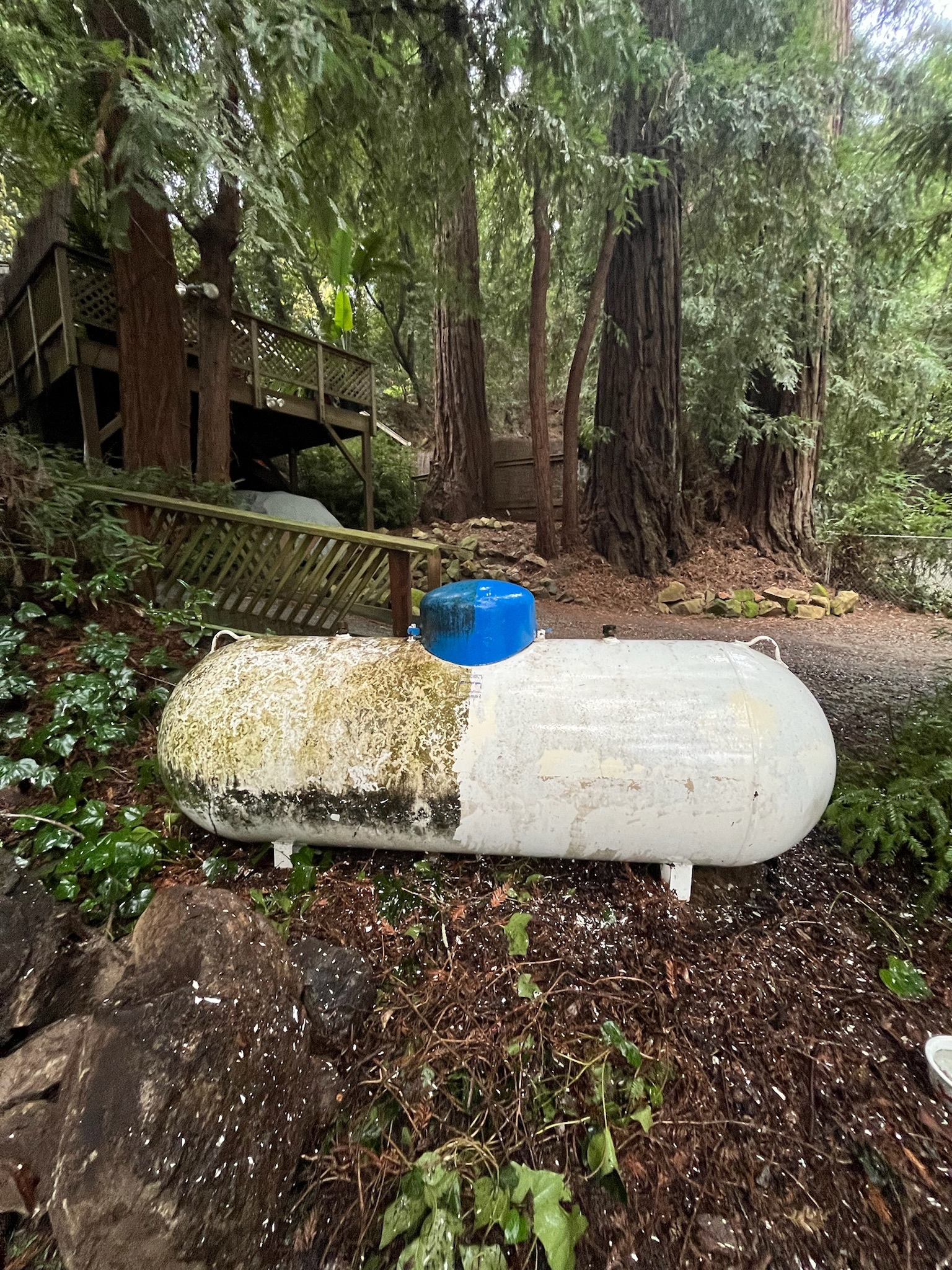 Tank cleaning project