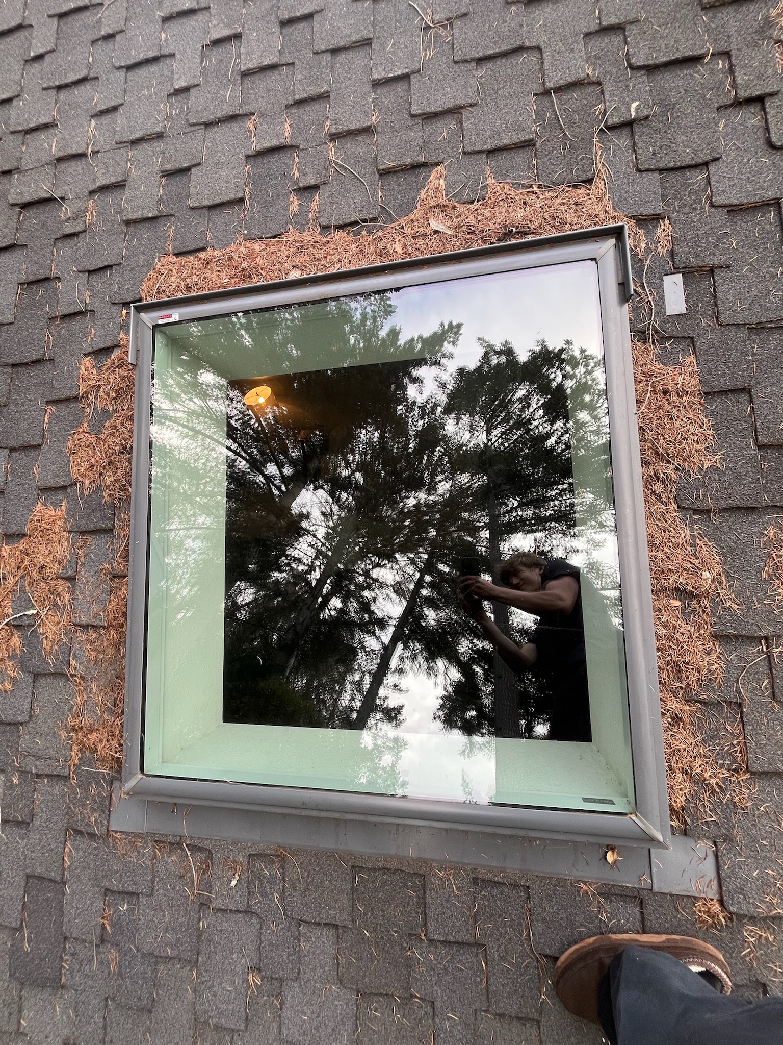 After window and gutter cleaning